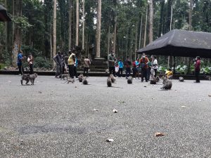 IMG-20210920-WA0059