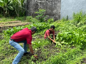 Wujudkan Integrasi Pertanian Tanpa Limbah