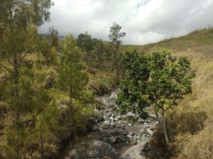 Puncak kemarau