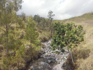 Kemarau Kering