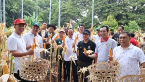 panen jagung kantor gubernur