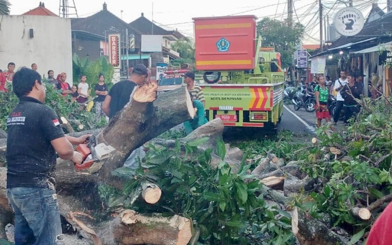 WhatsApp Image 2025-06-09 at 18.26.10