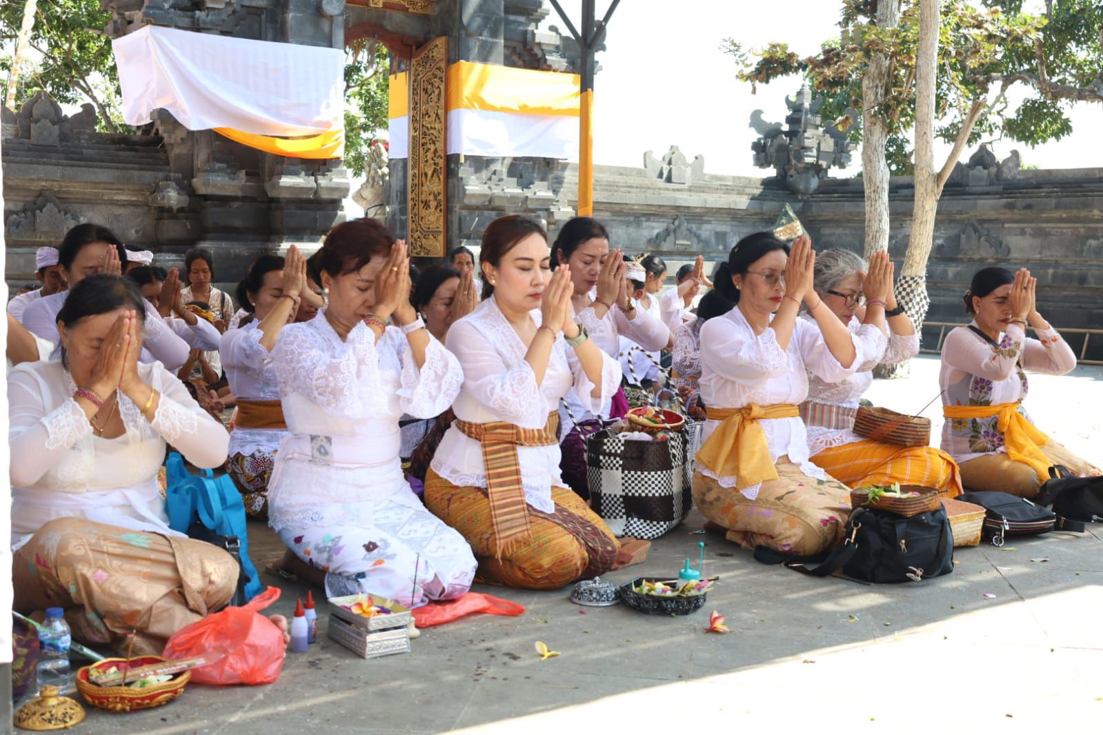 WhatsApp Image 2025-06-27 at 19.24.41