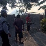 WhatsApp Image 2025-10-09 at 14.50.04