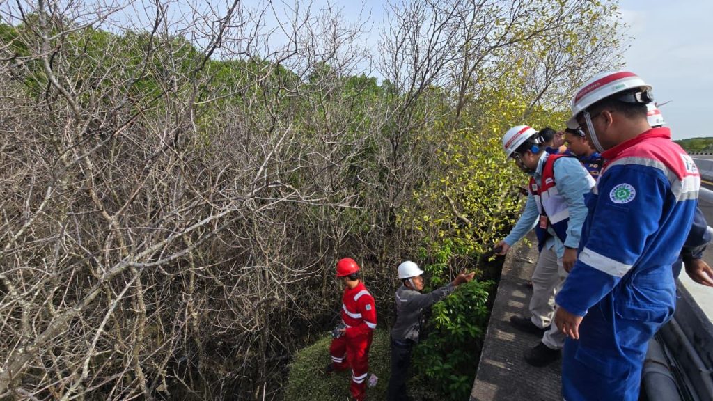 Pertamina Patra Niaga bersama Polairud Cek Pohon Mangrove Mati.