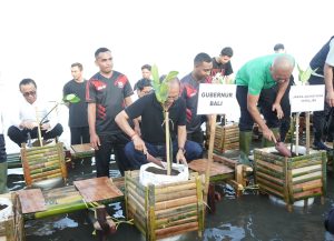 Gubernur Bali Wayan Koster menanam mangrove bersama Jaksa Agung Muda Bidang Intelijen Kejaksaan Agung RI, Reda Manthovani, Sabtu (25/4).