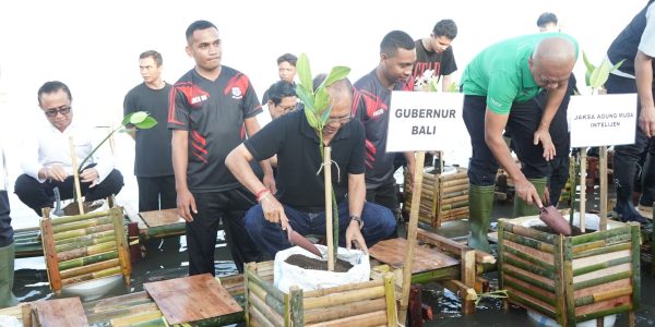 Gubernur Bali Wayan Koster menanam mangrove bersama Jaksa Agung Muda Bidang Intelijen Kejaksaan Agung RI, Reda Manthovani, Sabtu (25/4).