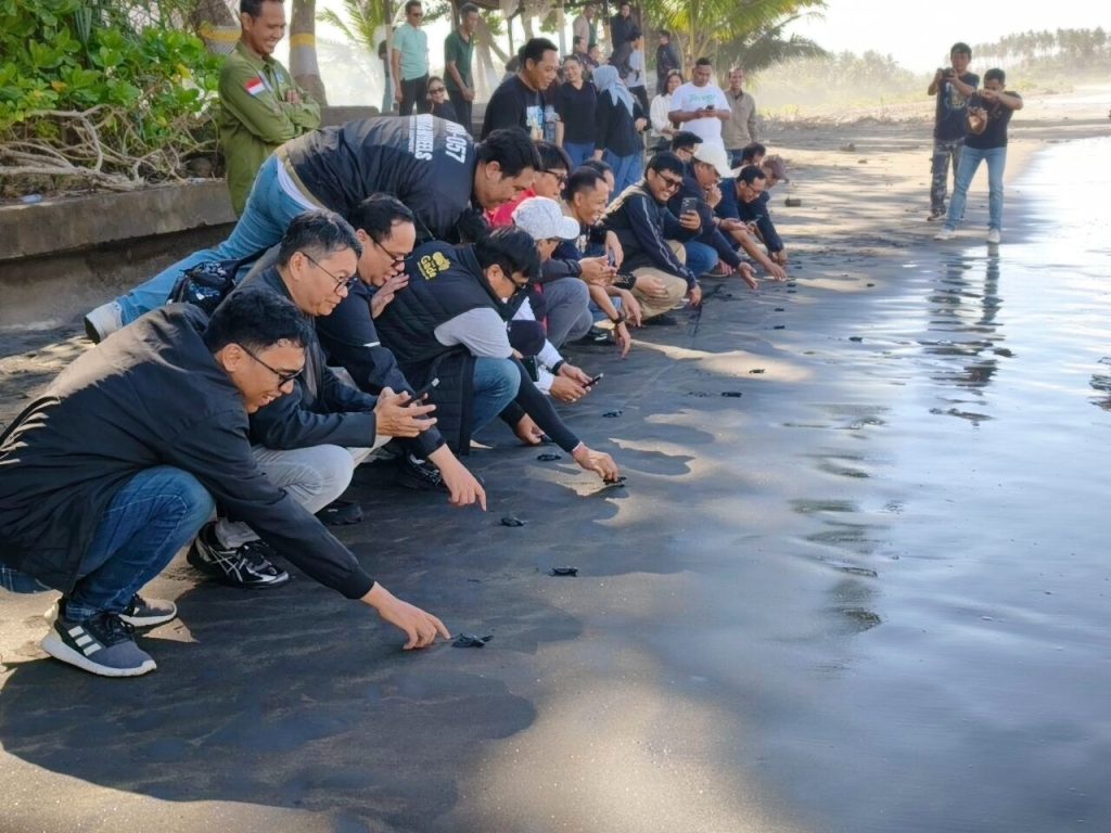 Pelepasan Tukik ke laut lepas di kawasan Konservasi KPP Jagat Kerthi.