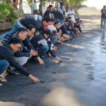 Pelepasan Tukik ke laut lepas di kawasan Konservasi KPP Jagat Kerthi.