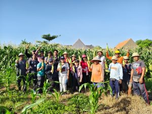 Dinas Pertanian Kota Denpasar melaksanakan panen jagung manis varietas Golden Boy di lahan seluas 20 are yang merupakan bagian dari pemanfaatan lahan bera seluas 1 hektare di Subak Intaran Barat, Desa Sanur Kauh, Kecamatan Denpasar Selatan, pada Kamis (2/7).